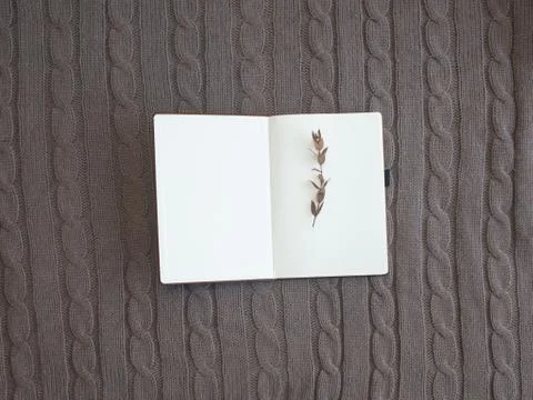 Winter mock up notepad background knitted plaid Stock Photos