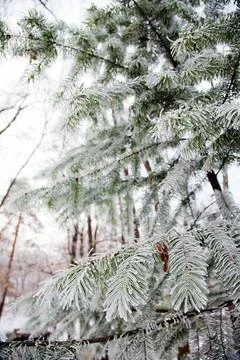 Winter mood Foto stock