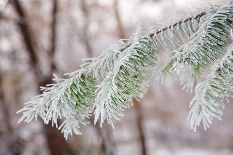 Winter mood 스톡 사진