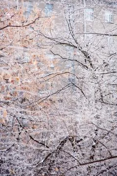 Winter mood 스톡 사진