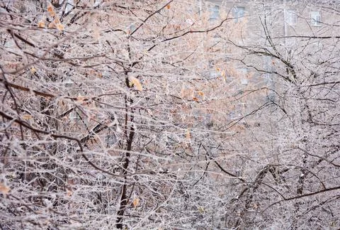 Winter mood 스톡 사진