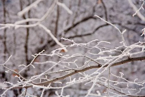 Winter mood 스톡 사진