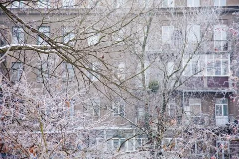 Winter mood 스톡 사진