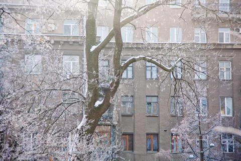 Winter mood Stock Photos