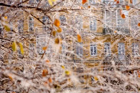 Winter mood Foto stock