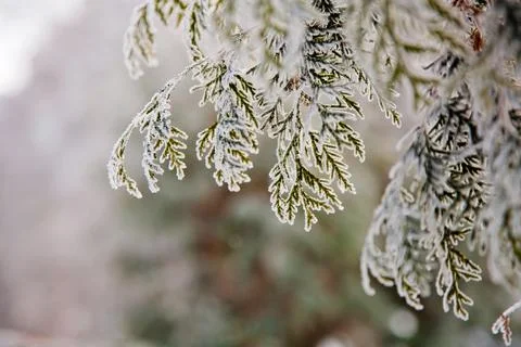 Winter mood 스톡 사진