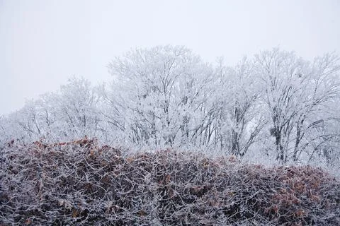 Winter mood 스톡 사진