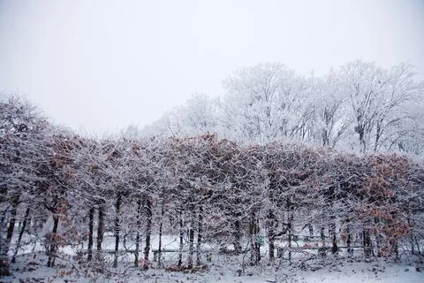 Winter mood 스톡 사진