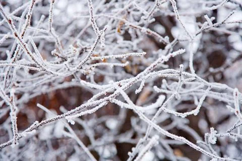 Winter mood Stock Photos