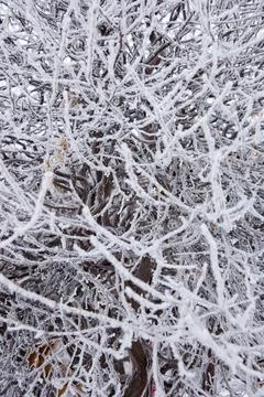 Winter mood Stock Photos