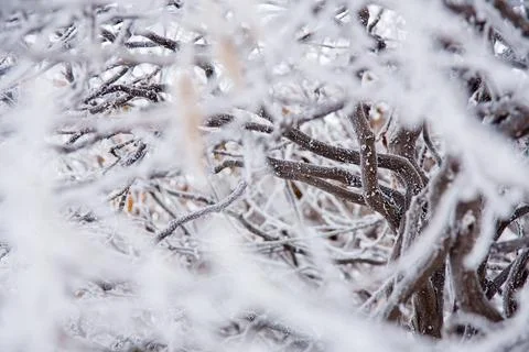 Winter mood Foto stock