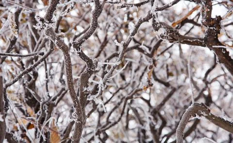 Winter mood 스톡 사진