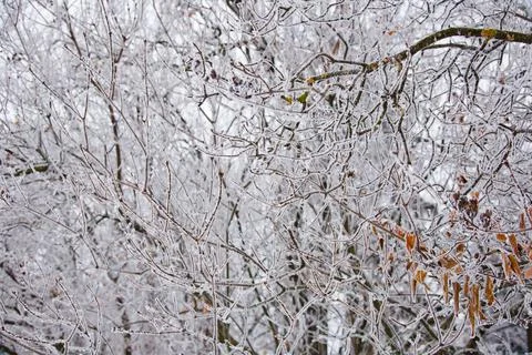 Winter mood 스톡 사진