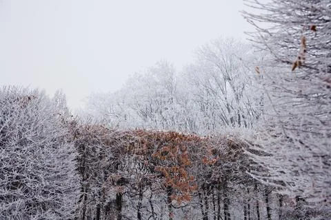 Winter mood 스톡 사진