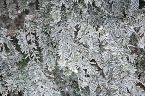 Winter mood 스톡 사진