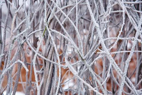 Winter mood 스톡 사진