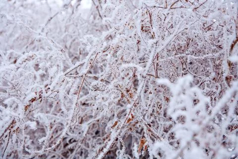 Winter mood Stock Photos