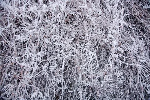 Winter mood Foto stock