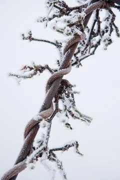 Winter mood Foto stock