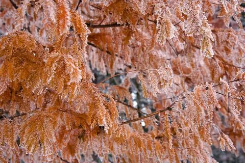 Winter mood 스톡 사진