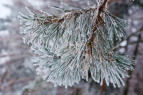 Winter mood 스톡 사진