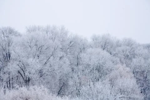 Winter mood Stock Photos