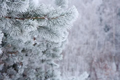 Winter mood Foto stock