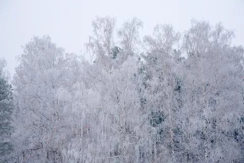 Winter mood 스톡 사진