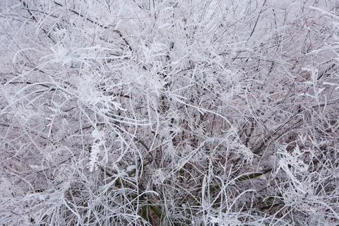 Winter mood Stock Photos