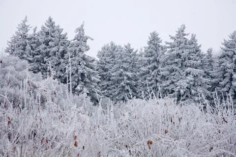 Winter mood Stock Photos