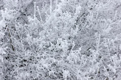 Winter mood Foto stock