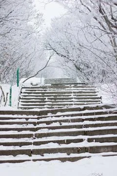 Winter mood 스톡 사진