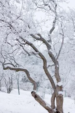 Winter mood Foto stock