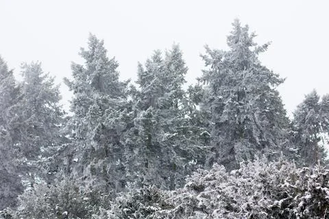 Winter mood 스톡 사진