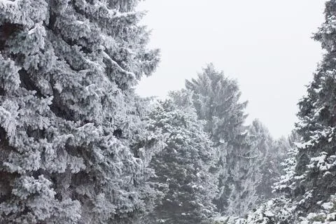 Winter mood Foto stock