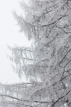 Winter mood 스톡 사진