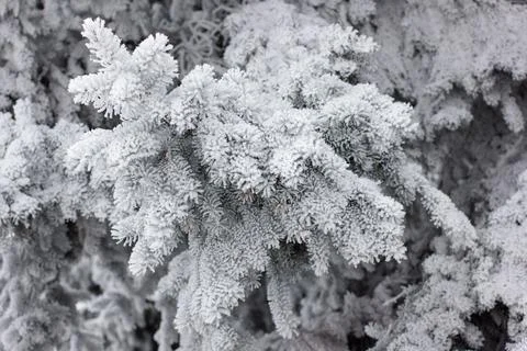 Winter mood 스톡 사진