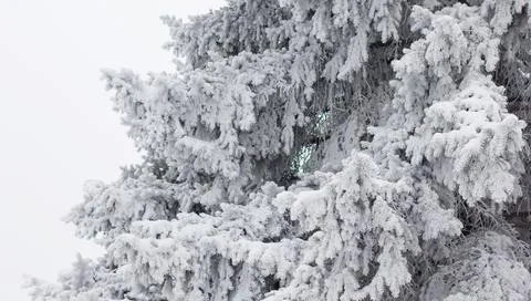 Winter mood 스톡 사진