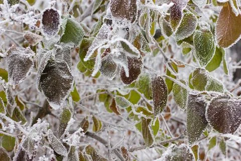 Winter mood 스톡 사진