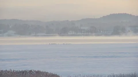 Winter moods 11 Stock-Footage 11883217