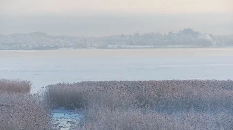 Winter moods 12 Stock Footage 11883341