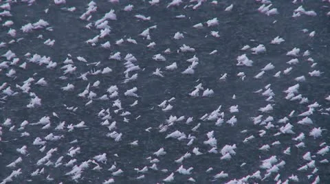 Winter moods 6 Stock Footage 11883076