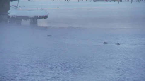 Winter moods 9 Stock-Footage 11883277