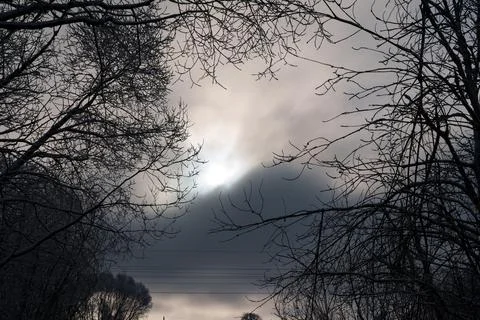 Winter moon 写真素材
