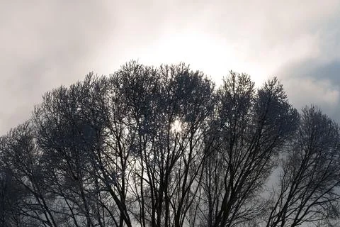 Winter moon Stockfoto's