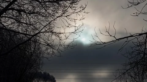 Winter moon through branches Stock Footage 327901996