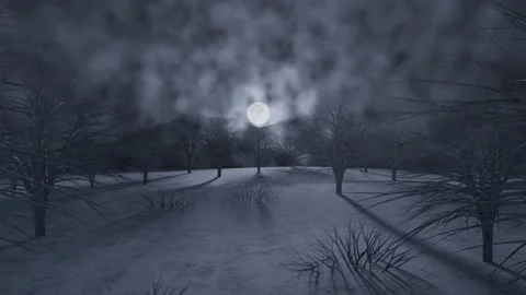 Winter Moonlight Stock Footage 227350859