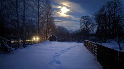 Winter moonlit evening Stock Photos