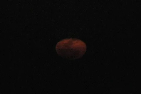 Winter moonrise Stock Footage 326329