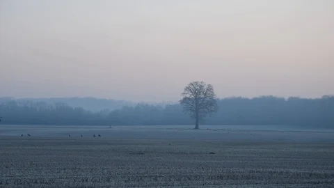 Winter morning Stock Footage 123348641